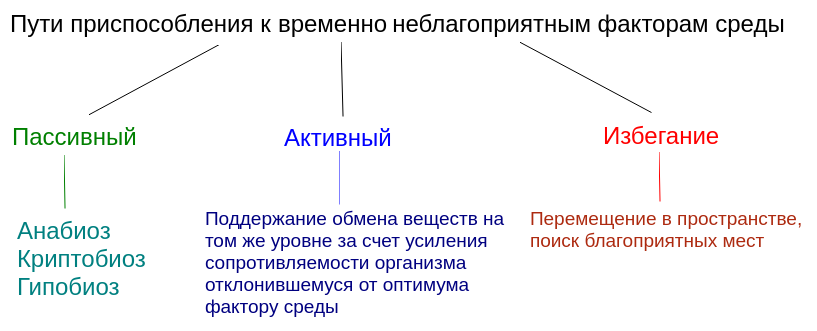 Пути адаптаций к временно неблагоприятным факторам среды