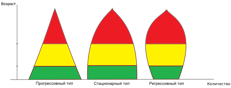 Типы возрастных пирамид популяций