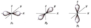 Форма и ориентация p-электронных орбиталей