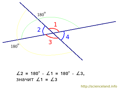 Доказательство равенства вертикальных углов